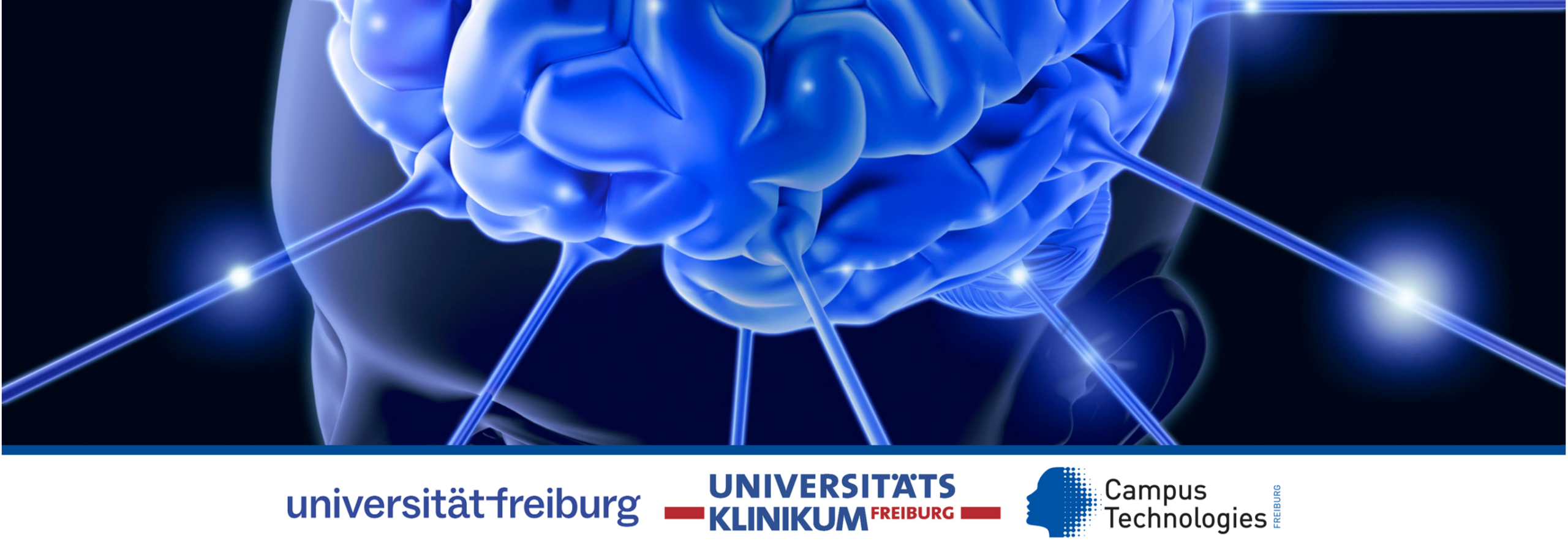 Banner Epilepsie Datenbank